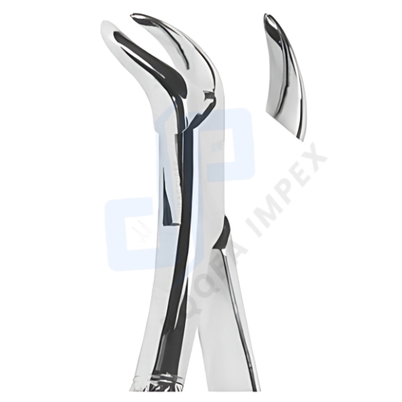 Advanced American Pattern Extracting Forceps