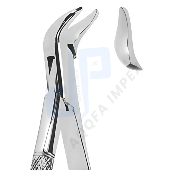 American Pattern Tooth Extracting Forceps