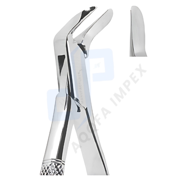 American Style Extracting Forceps