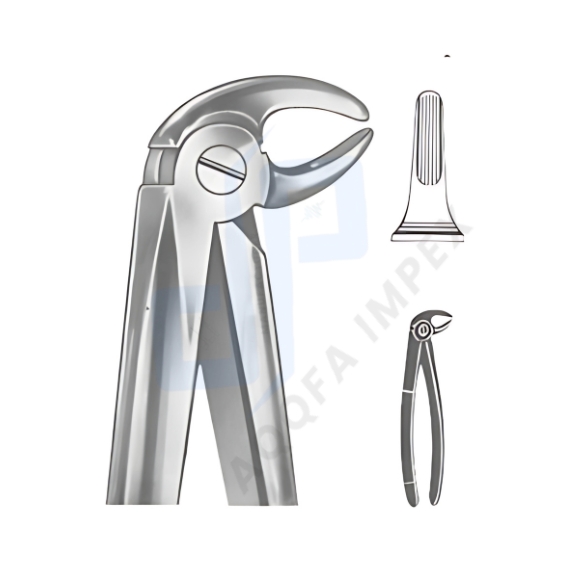 English Pattern Dental Extracting Forceps