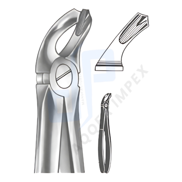 English Pattern Extracting Forceps