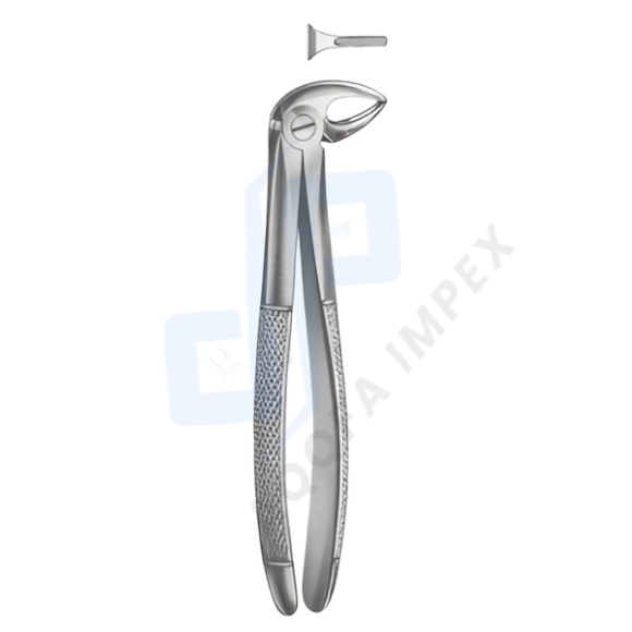 English Pattern Extraction Forceps