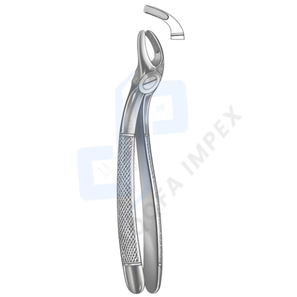 English Style Extracting Forceps