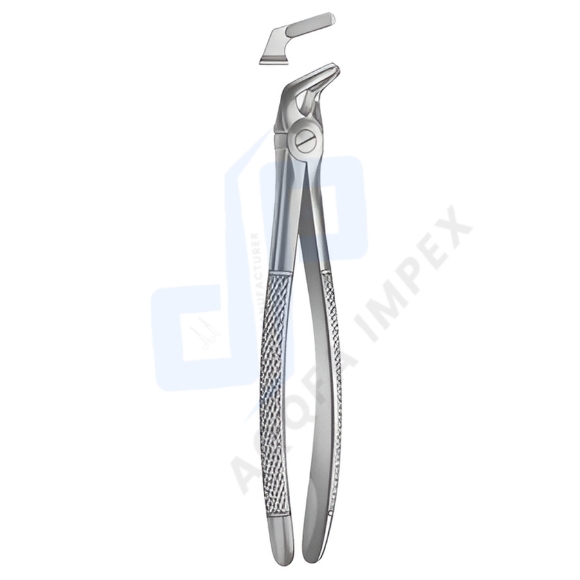 Extracting Forceps English pattern