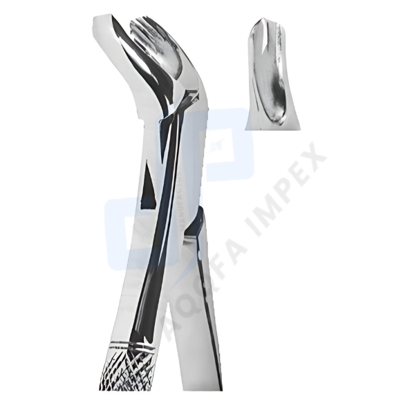 High-Quality Extracting Forceps - American Pattern