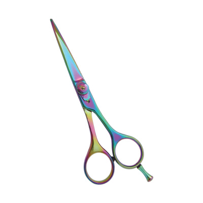 Titanium Coated Hair Scissors